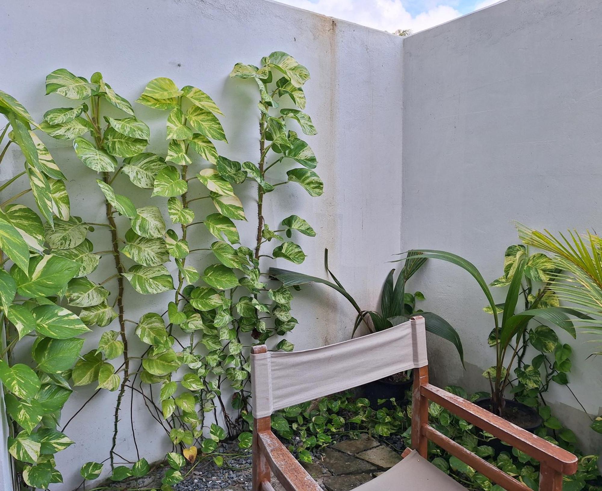 Thundi Village & Spa Maalhos (Baa Atoll) Exterior foto